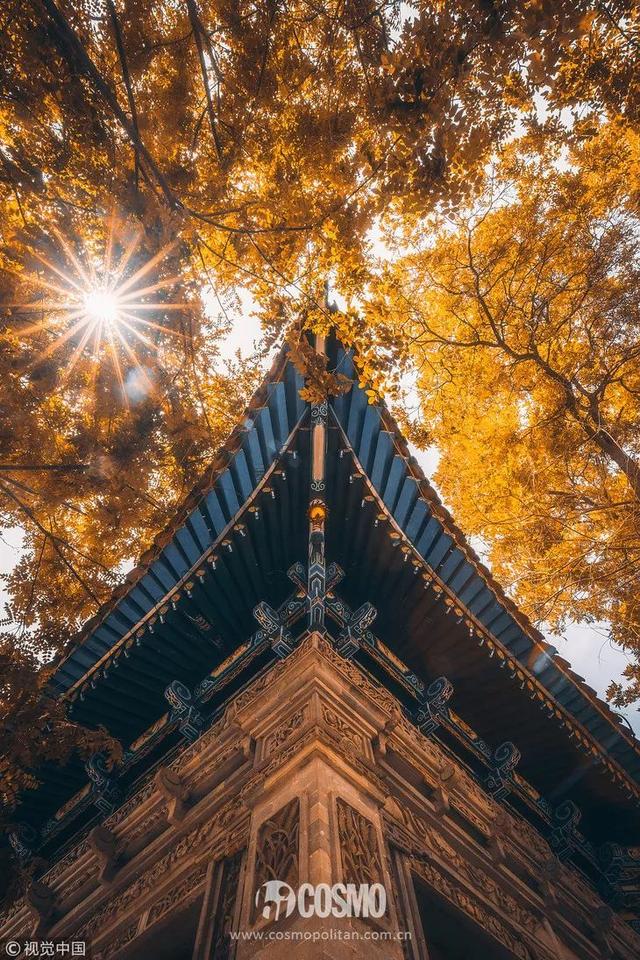 巨好玩｜只要1000塊，我就去泰國度了假（攻略是昆凌湯唯做的）