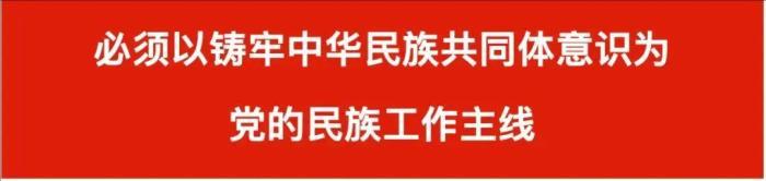 【學(xué)習(xí)讀本（21）】高舉中華民族大團(tuán)結(jié)旗幟