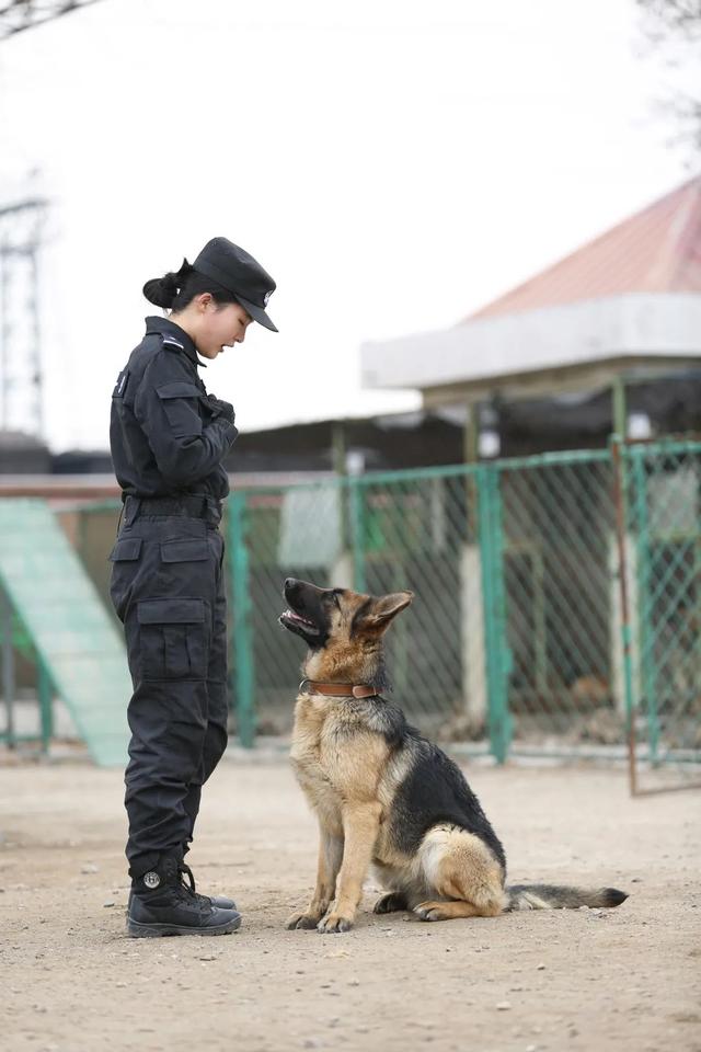 美女生物生“變身”成為優(yōu)秀警犬訓(xùn)導(dǎo)員