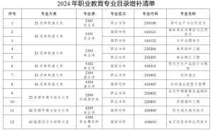 數(shù)字時(shí)尚設(shè)計(jì)、文物數(shù)字技術(shù)……《職業(yè)教育專業(yè)目錄》上新了！