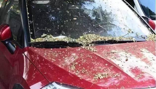 天這么熱，車子也怕曬，花小錢買個車衣保護車漆，省掉大頭