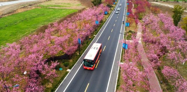 密集修路季！湖州這些路段注意繞行