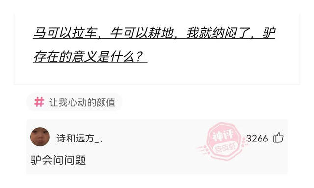 爆笑神評(píng)!美女回老家，驚艷打扮！讓網(wǎng)友紛紛詢問(wèn)：在城里做什么
