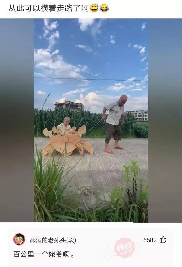 爆笑神評(píng)!美女回老家，驚艷打扮！讓網(wǎng)友紛紛詢問(wèn)：在城里做什么