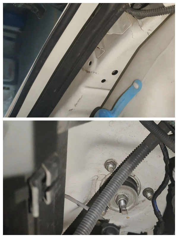 全國僅有兩臺車源，老司機都不認識，驗車師建議別碰！