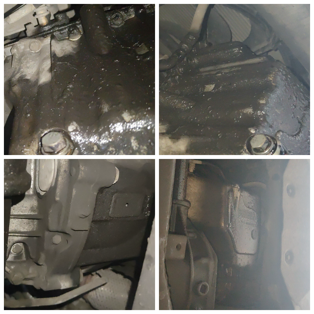 全國僅有兩臺車源，老司機都不認識，驗車師建議別碰！