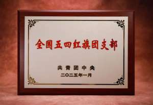愷英網(wǎng)絡(luò)團(tuán)支部榮獲“全國(guó)五四紅旗團(tuán)支部”稱(chēng)號(hào)