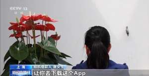租機貸變高利貸 租手機套現(xiàn)不是“餡餅”是陷阱