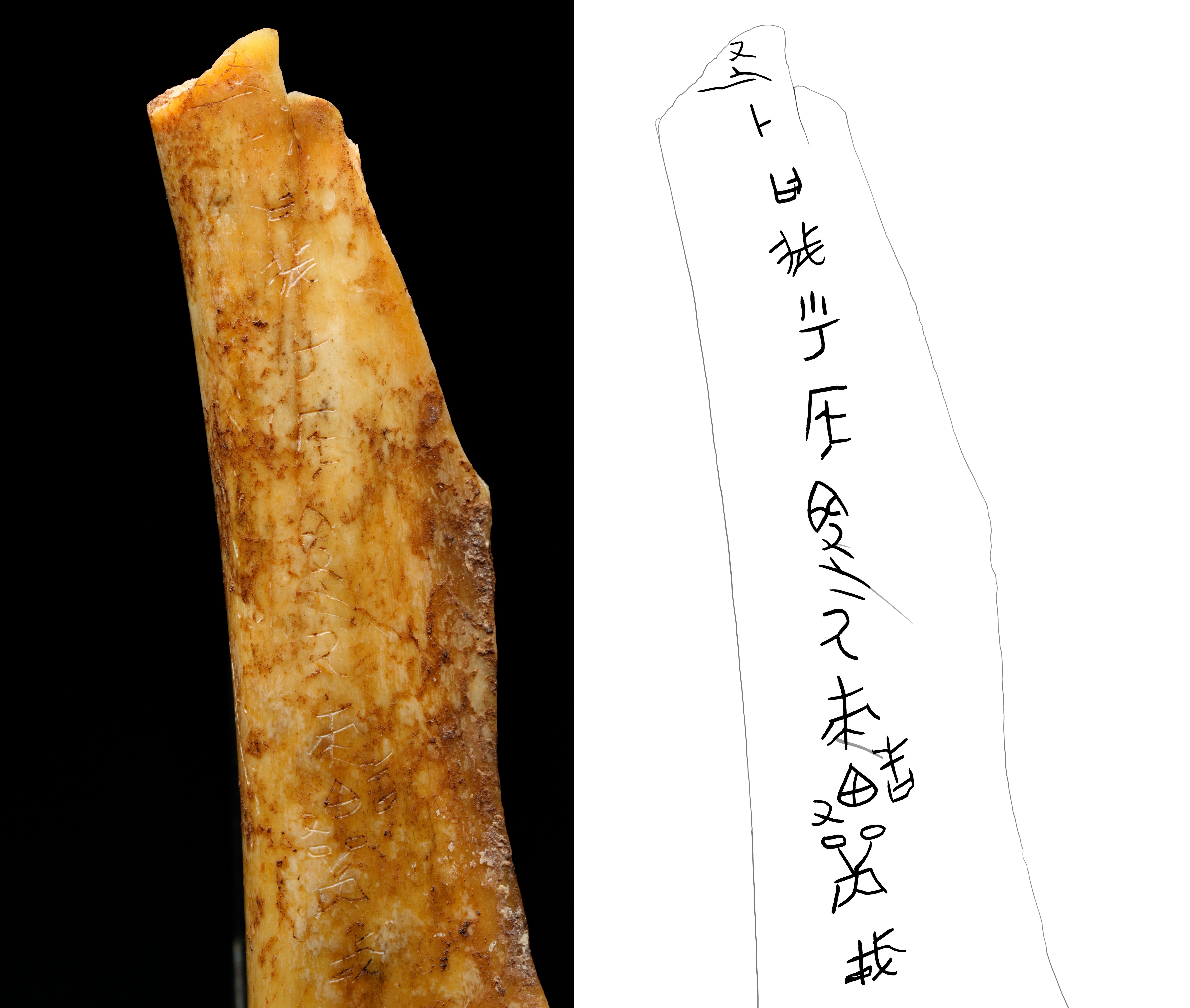 武王墩一號(hào)墓等入選 2024年度全國(guó)十大考古新發(fā)現(xiàn)公布