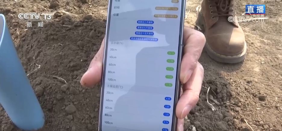 AI模型、“北斗”、物聯(lián)網(wǎng)……智慧農(nóng)業(yè)成為田間地頭新常態(tài)