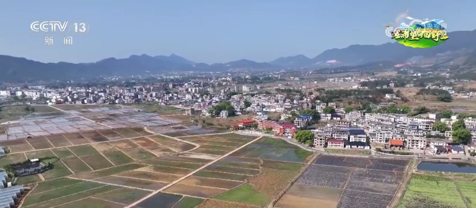 AI模型、“北斗”、物聯(lián)網(wǎng)……智慧農(nóng)業(yè)成為田間地頭新常態(tài)