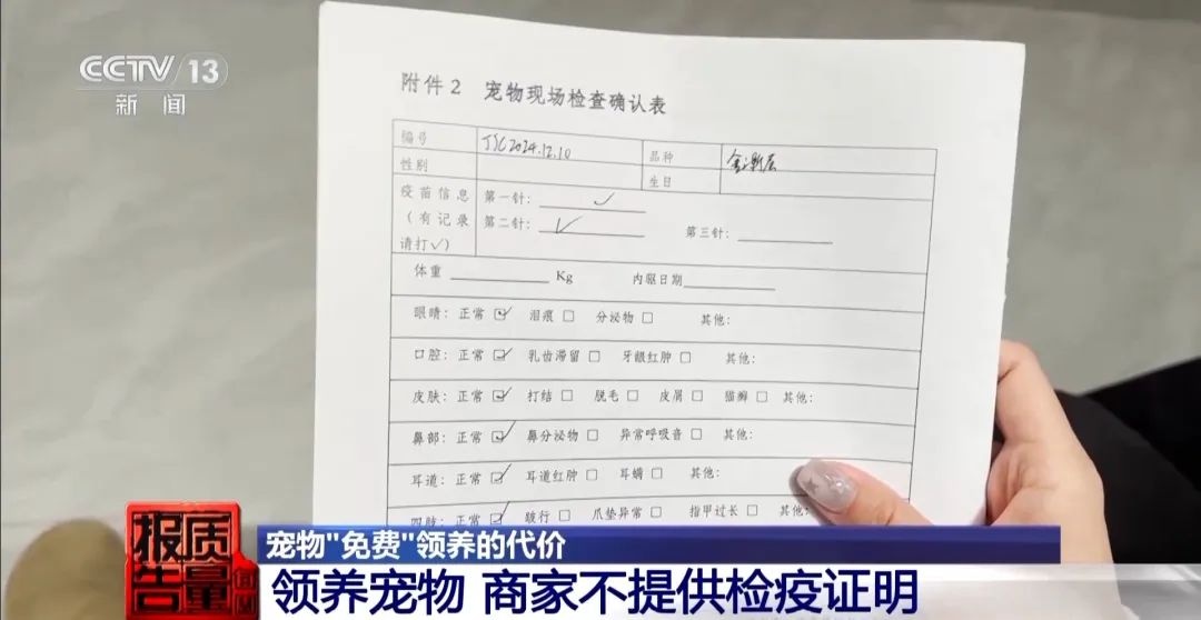 “免費(fèi)送貓”背后的天價(jià)陷阱