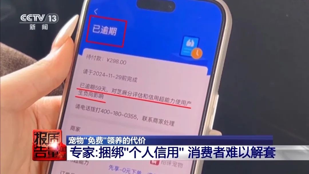 “免費(fèi)送貓”背后的天價(jià)陷阱