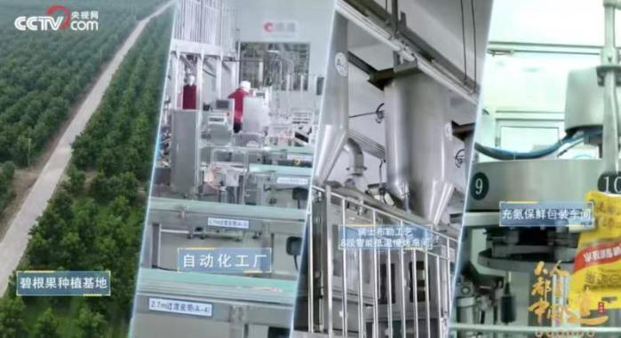 收入首次突破70億，洽洽食品以“品質(zhì)+創(chuàng)新”跨越新周期