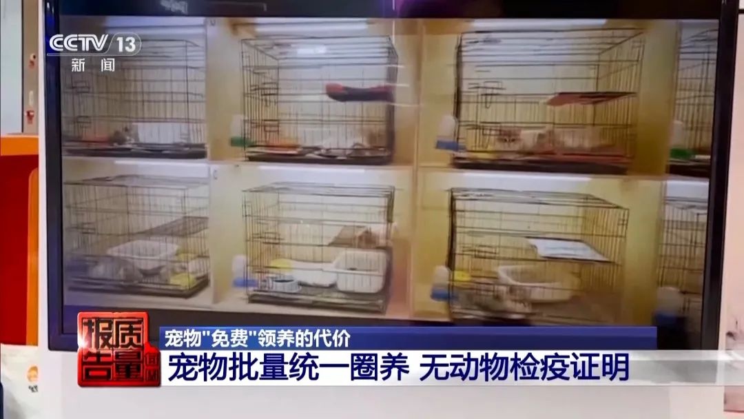 “免費(fèi)送貓”背后的天價(jià)陷阱