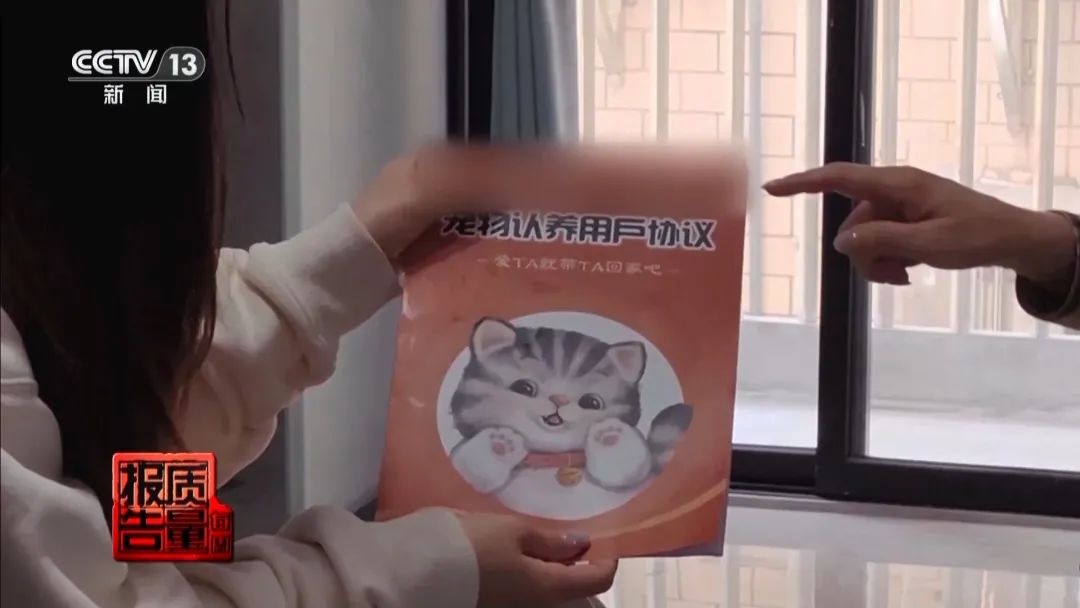 “免費(fèi)送貓”背后的天價(jià)陷阱