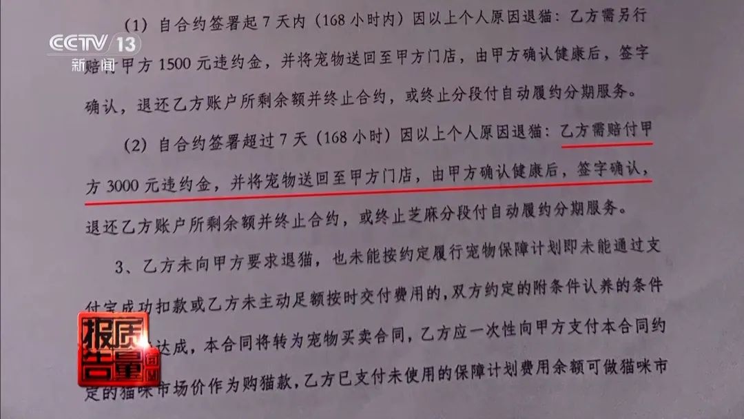 “免費(fèi)送貓”背后的天價(jià)陷阱